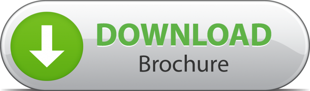 Web Portal Brochure